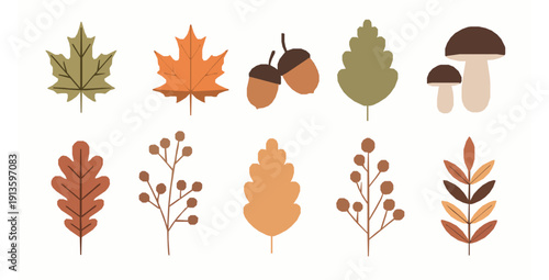 Minimal autumn botanical elements hand drawn flat vector set
