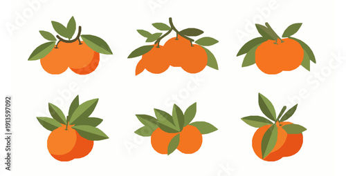 Tropical citrus abstract composition modern flat vector design set
