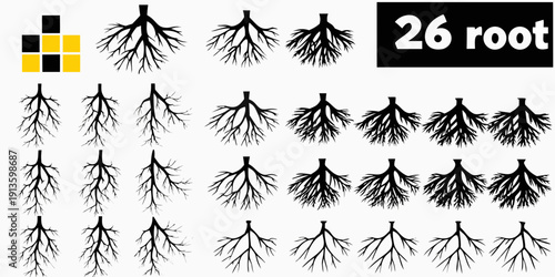 Illustration of various root systems against a white background