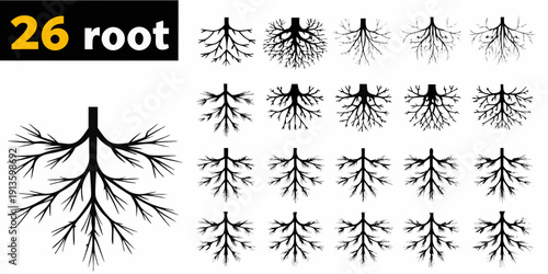 Collection of tree root systems and a single detailed tree illustration