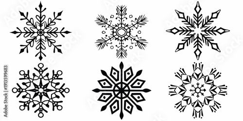 An arrangement of six detailed black and white snowflake illustrations