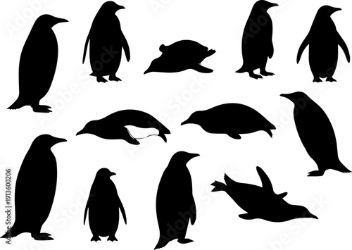 Silhouette Collection of Penguin Isolated in Different Poses Animal Wildlife