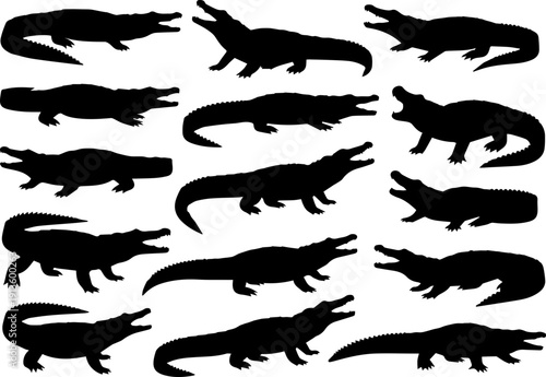 Silhouette Diverse Alligator Crocodile Reptile Predator Collection of Graphic Animals