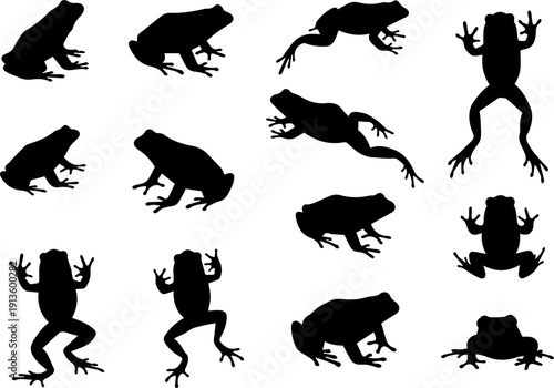 Silhouette Illustration Collection of Different Poses Frog Amphibian Wildlife Animal