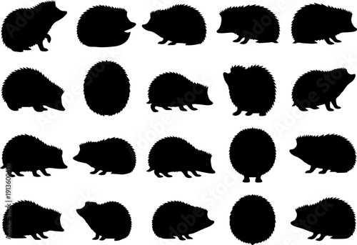 Silhouette Various Positions Hedgehog Mammal Wild Animal Collection Illustration