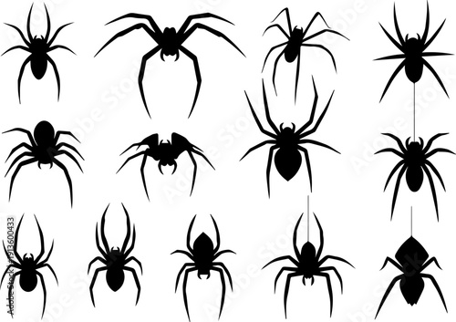 Elegant Silhouette Variety Spider Arachnid Scary Horror Halloween Insect Clip Art