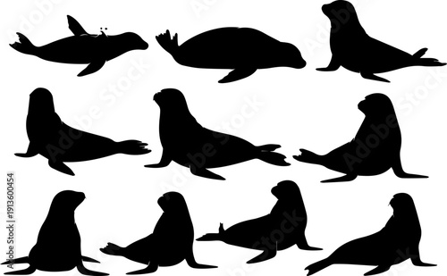 Silhouette Black Seal Illustration Collection Set in Different Poses