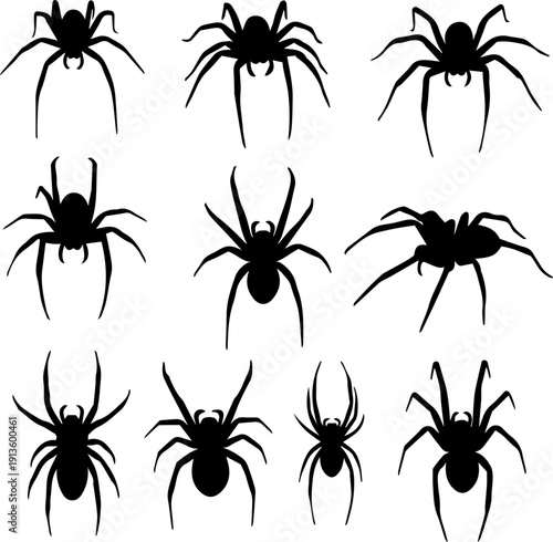 Silhouette Detailed Spider Insect Element for Halloween and Decoration