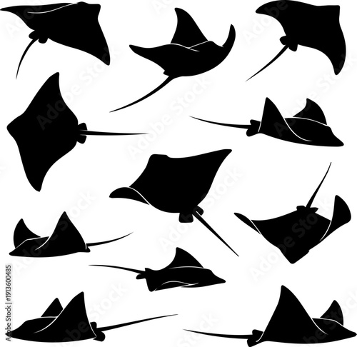 Silhouette Various Poses Ray Stingray Sea Life Animal Graphic
