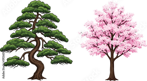 Set of Isolated Traditional Japanese Bonsai Pine Tree and Pink Cherry Blossom Sakura Tree Illustrations for Asian Nature Landscape Design and Spring Floral Backgrounds