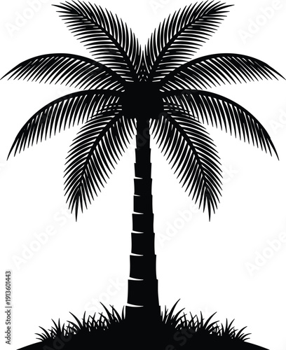 Palm tree silhouette vector illustration, tropical beach design with textured trunk, arching fronds, grass base, and summer artwork