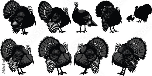 Turkey silhouette collection featuring large birds with feathered tails, farm poultry in various poses, and Thanksgiving holiday wildlife for autumn themes, cad drawing flat vector illustration