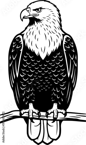 Majestic Bald Eagle silhouette vector illustration