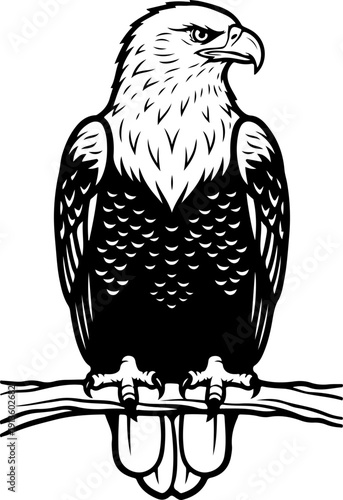 Majestic Bald Eagle silhouette vector illustration