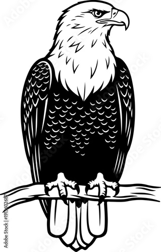 Majestic Bald Eagle silhouette vector illustration