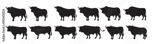 bull silhouette white background 