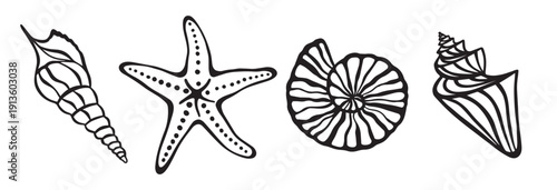 Hand drawn sea shells. Black marine silhouette set