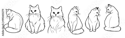 minimalist cat line art collection elegant poses for cat 
