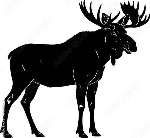 Moose silhouette vector illustration