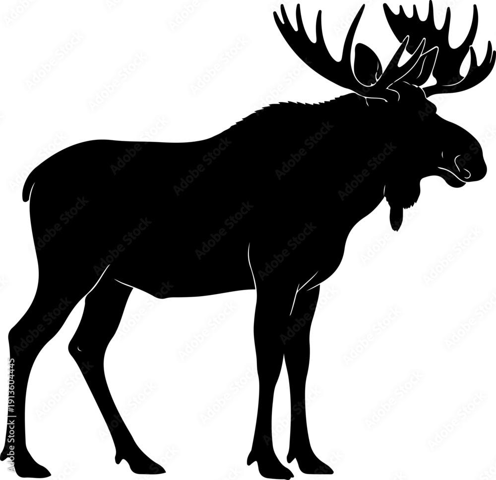 Fototapeta premium Moose silhouette vector illustration