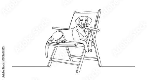 Dog lounging on garden chair in the sun with relaxed expression  