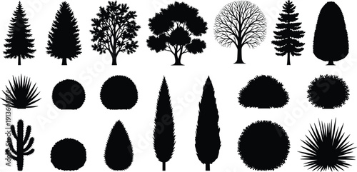 Tree and bush silhouette set containing pine, spruce, oak, bare winter tree, various shrubs, hedge plants, cactus, black vector illustration collection, nature.