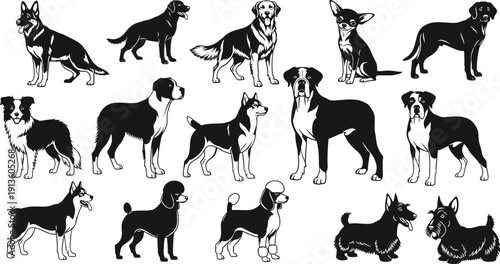 Vector collection of distinct dog breeds silhouettes, black and white canine illustrations, isolated pet animals for logo design, veterinary clinic, grooming salon, puppy symbols.