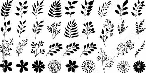 Collection of various black and white botanical illustrations of leaves and florals