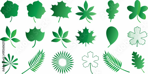 Collection of various green leaves and foliage in a symmetrical arrangement