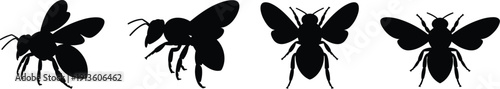 Bee insect silhouettes collection, flying insects vector set, black outline design, entomology illustration, nature graphic art, isolated