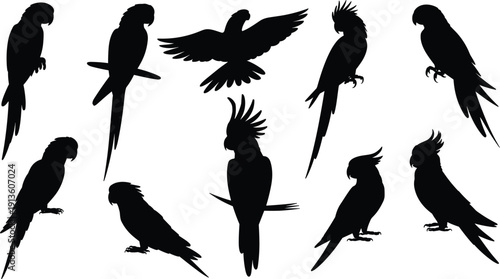 Black parrot silhouettes collection, perched and flying birds, cockatoo crest variations, tropical exotic avian vector illustration set
