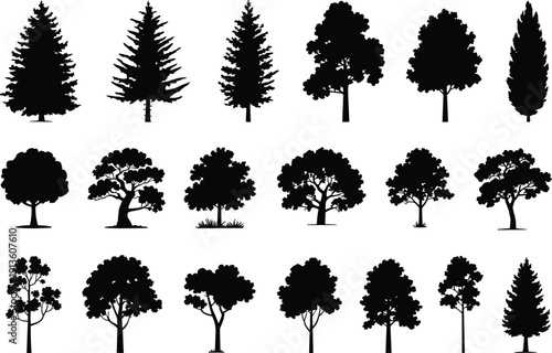 Collection of diverse tree silhouettes, coniferous and deciduous species, botanical illustration set for landscape design reference