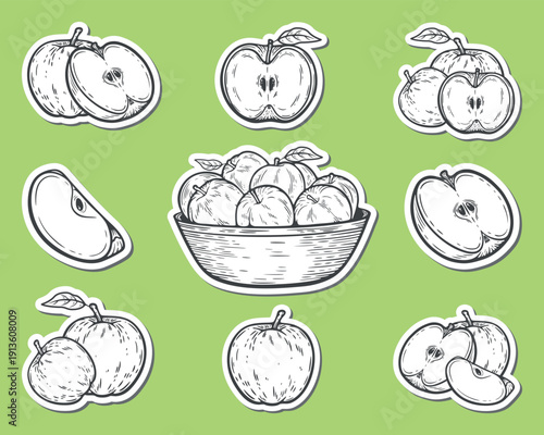 Apples set sticker pack, cut, sliced, whole, qarter, with leaves and seeds, in a bowl, types of apples variations, engraving isolated