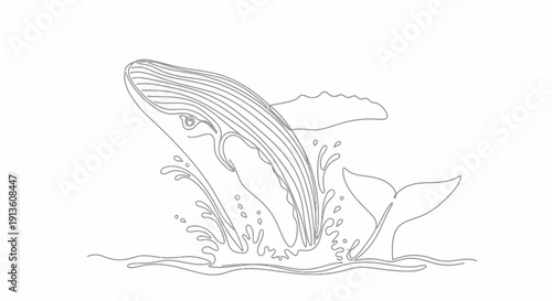 Humpback Whale Breaching Water Surface Line Art Illustration
