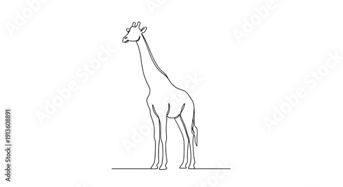 Giraffe Standing Alone Line Art Illustration Isolated on White