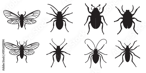 nine black insect silhouettes collection diverse beetle bug 