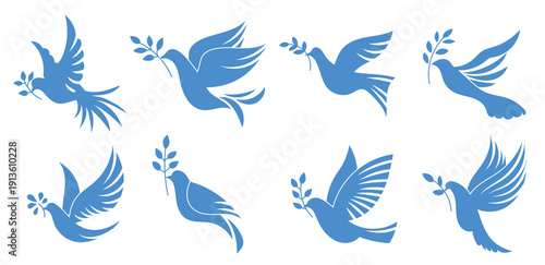  set of dove or paloma the peace of symbol minimalist