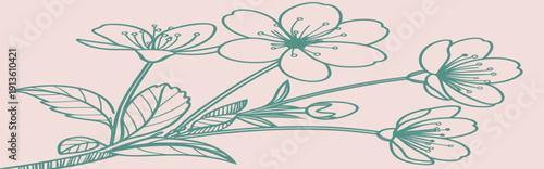Teal outline daisies blossoms on dusty pink flower floral