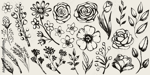A collection of hand drawn floral sketches in black and white
