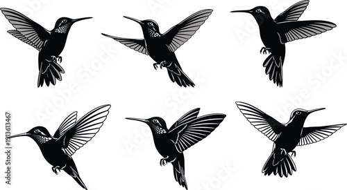 Vector set of flying hummingbird silhouettes, black and white colibri bird icons, isolated nature design elements for tattoo, art, and logo branding.
