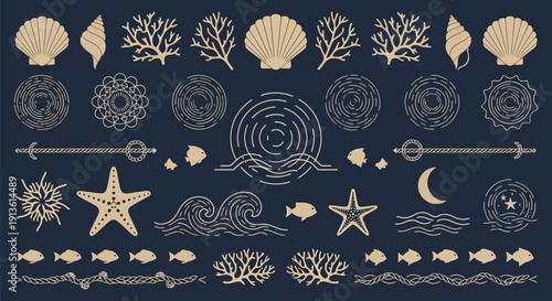 Collection of elegant marine-themed vector elements featuring seashells, coral, starfish, fish, and waves on a dark background.