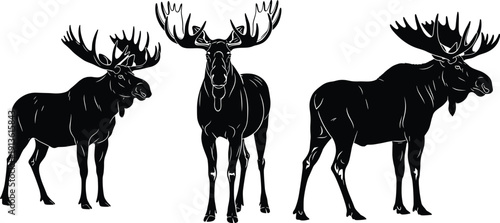 Black moose silhouette set with large antlers, wild animal icons including front and side view, forest wildlife isolated vector illustration.