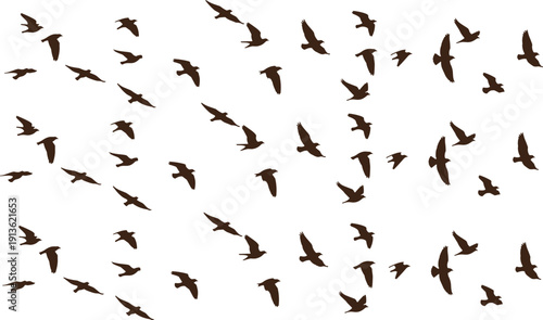 Brown Flying Birds Silhouette Set Featuring Flock in Different Wing Positions Isolated for Nature, Wildlife, Migration and Freedom Concept Design Projects