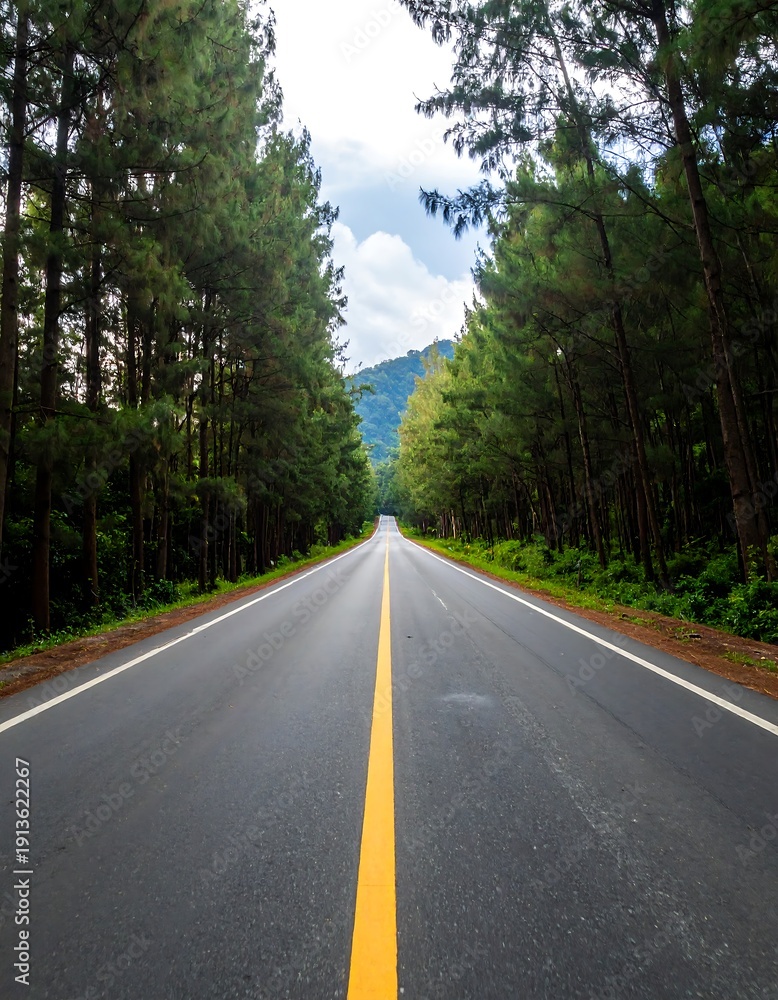Fototapeta premium Long asphalt road disappearing into the distance, lined by tall evergreen trees