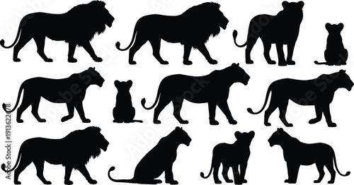 Lion family silhouette collection with male, female and cub poses isolated on white background, African wildlife predator vector set for nature design projects