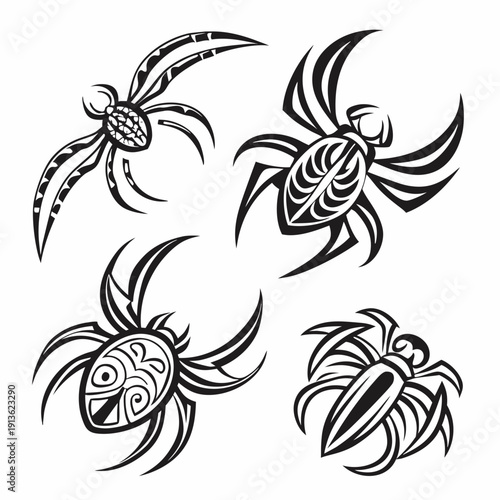 A group of spiders with different body patterns