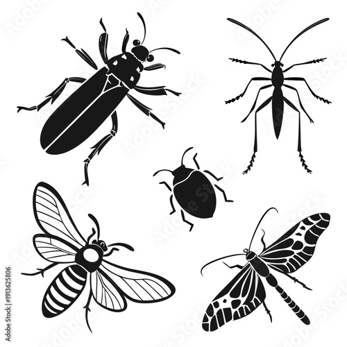 A group of insects, including beetles and moths