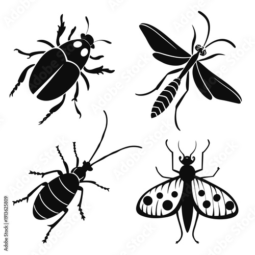 Four different insects in black and white