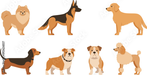 Different Dog Breeds Cartoon Character Set with Standing Poses for Pet Design, Domestic Canine Collection Flat Vector Illustration
