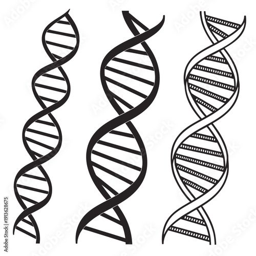 A detailed illustration of dna double helix structures